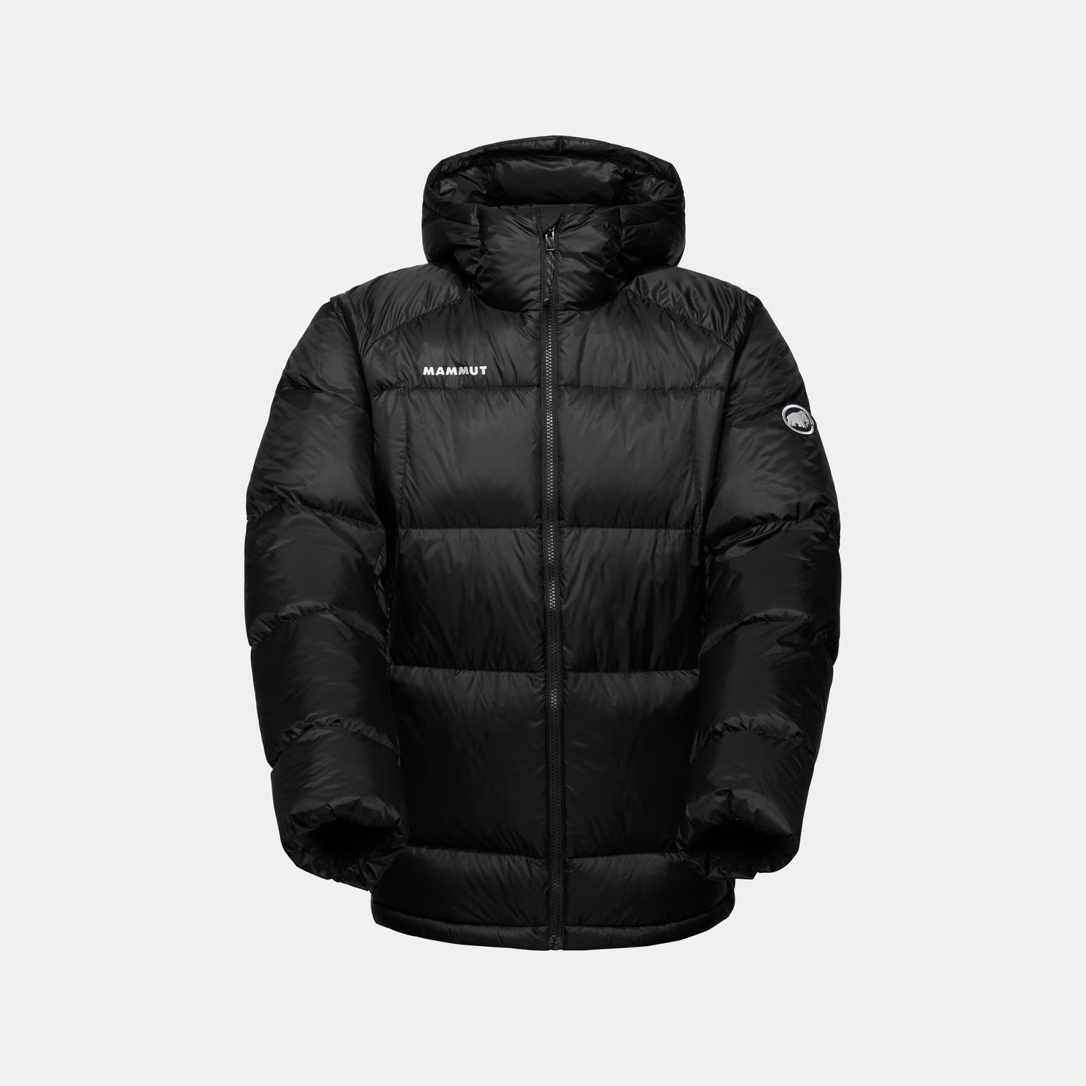 Glacier Glow IN Hooded Jacket Men